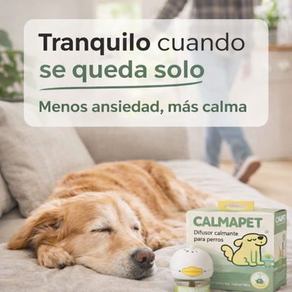Calmante Natural para la Ansiedad de tu Mascota