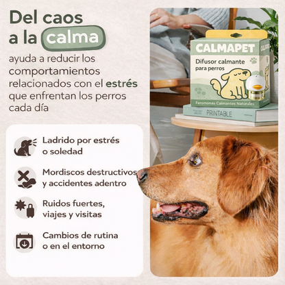 Calmante Natural para la Ansiedad de tu Mascota